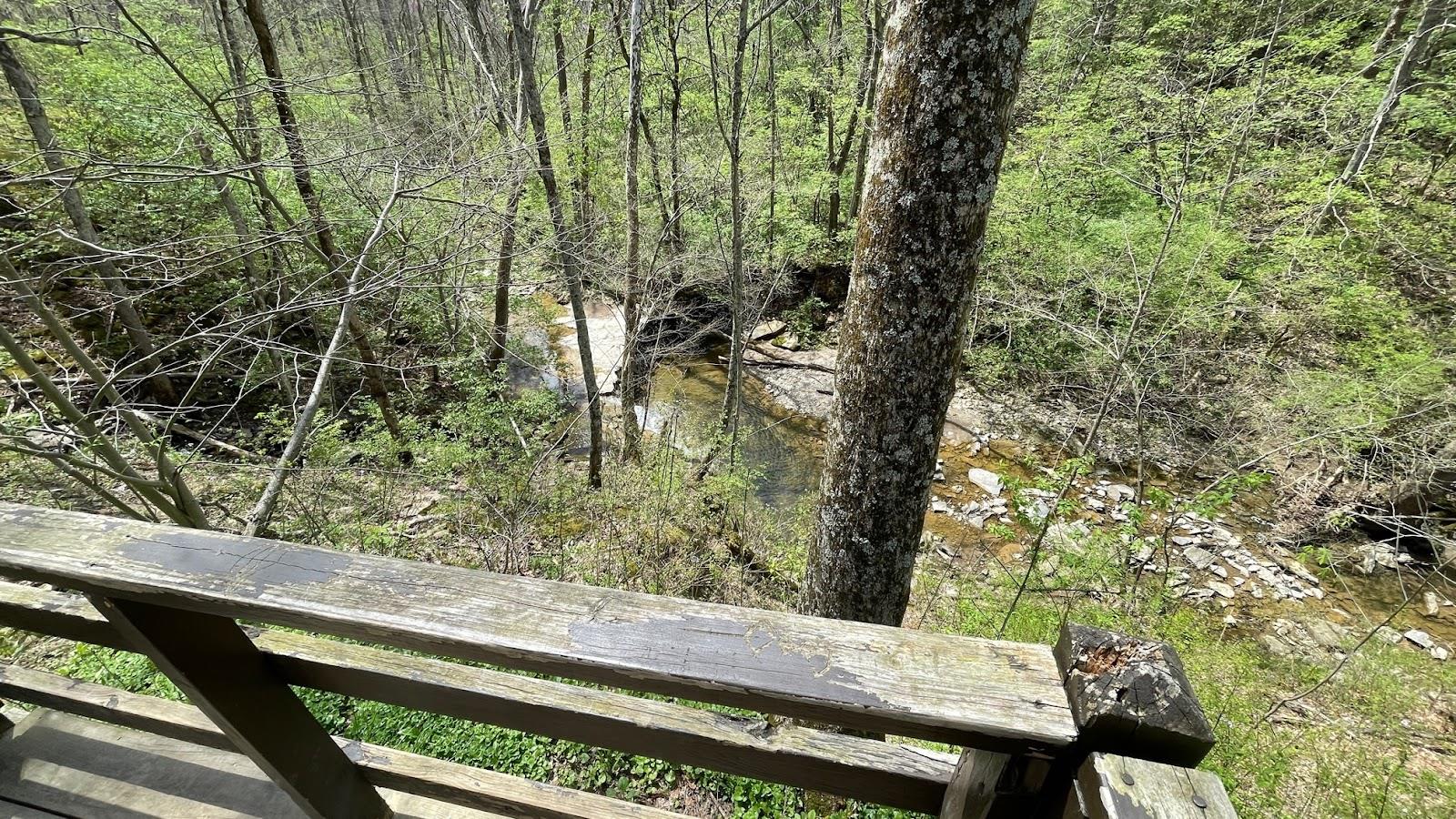 In the foreground is the wood decking overlooking the hill. In front of it is a young lichen covered tree. The perspective of the photo looks down through an early spring forest, before the trees have their leaves. Below the lookout, runs a stream. 